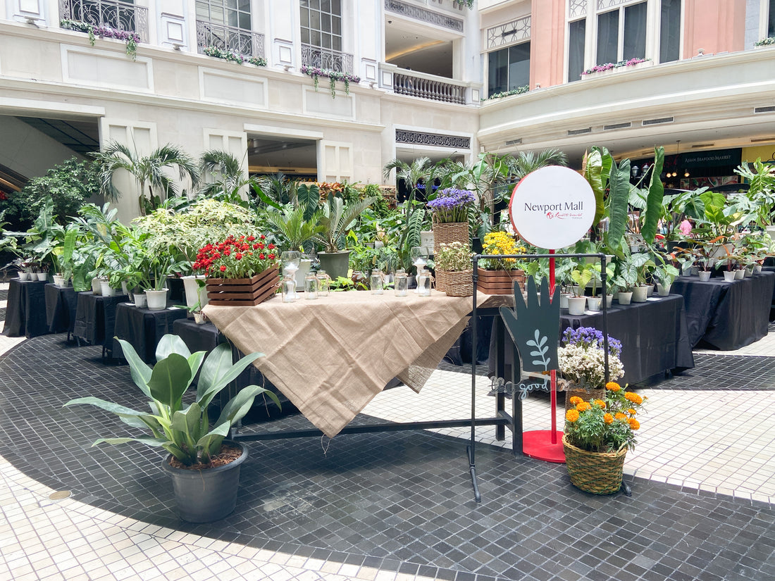 Earth day Fair at Newport Mall