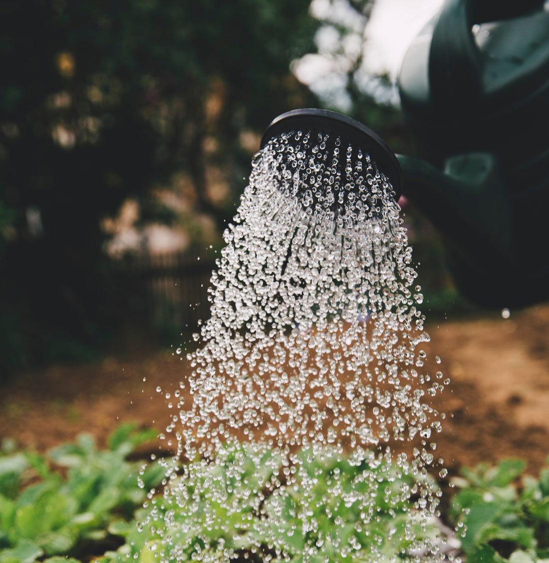 How to Save Water: a 2-part guide