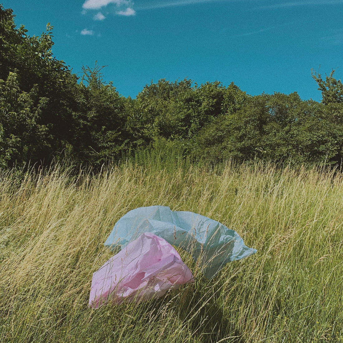 Easy ways to reduce single-use plastics in the Philippines