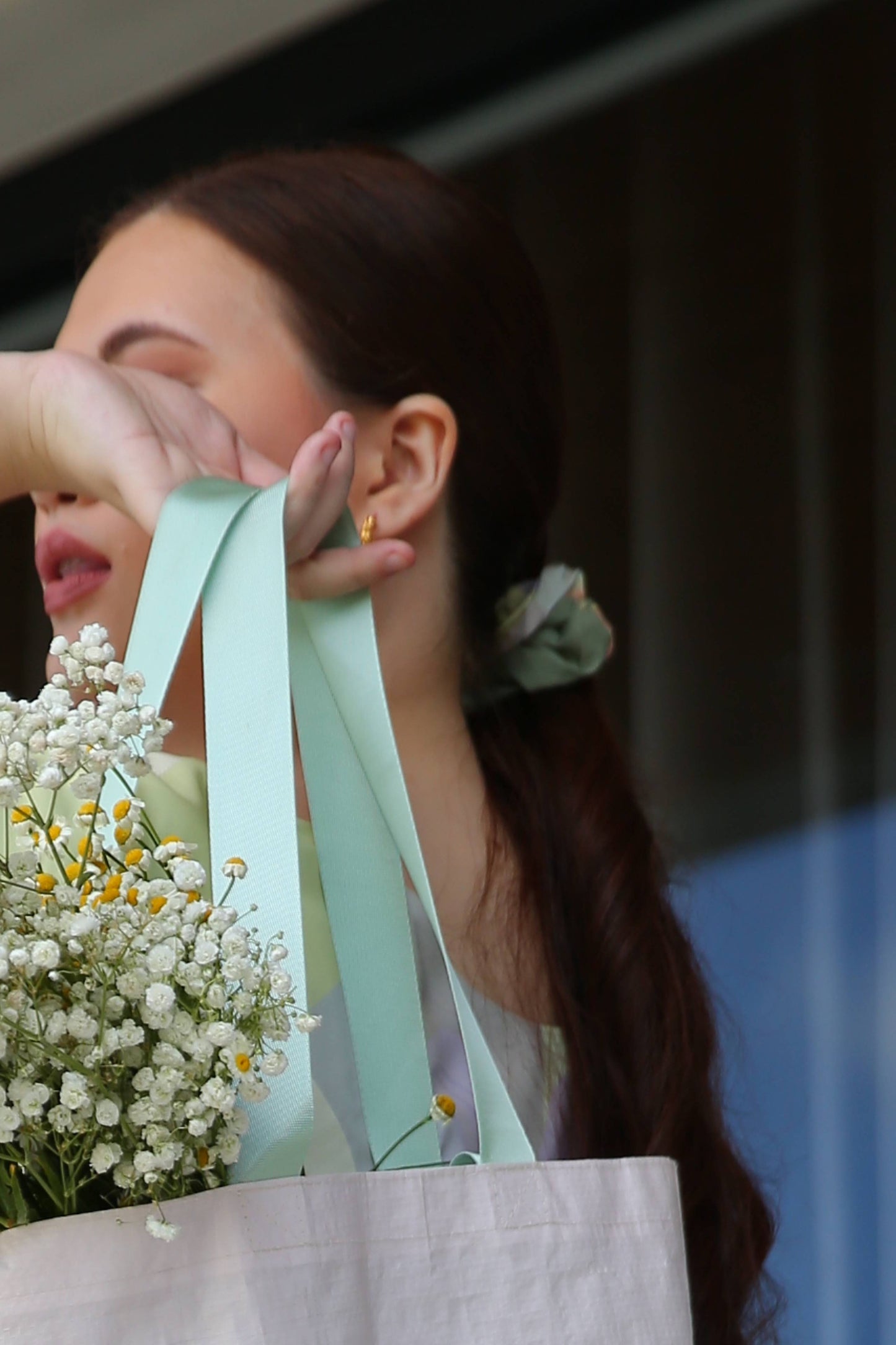 Scrunchie & Bandana Retaso Set (Pets & Humans)