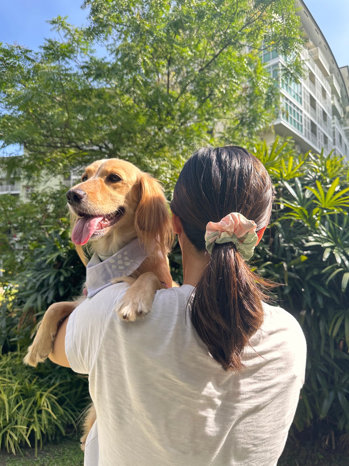 Scrunchie & Bandana Retaso Set (Pets & Humans)