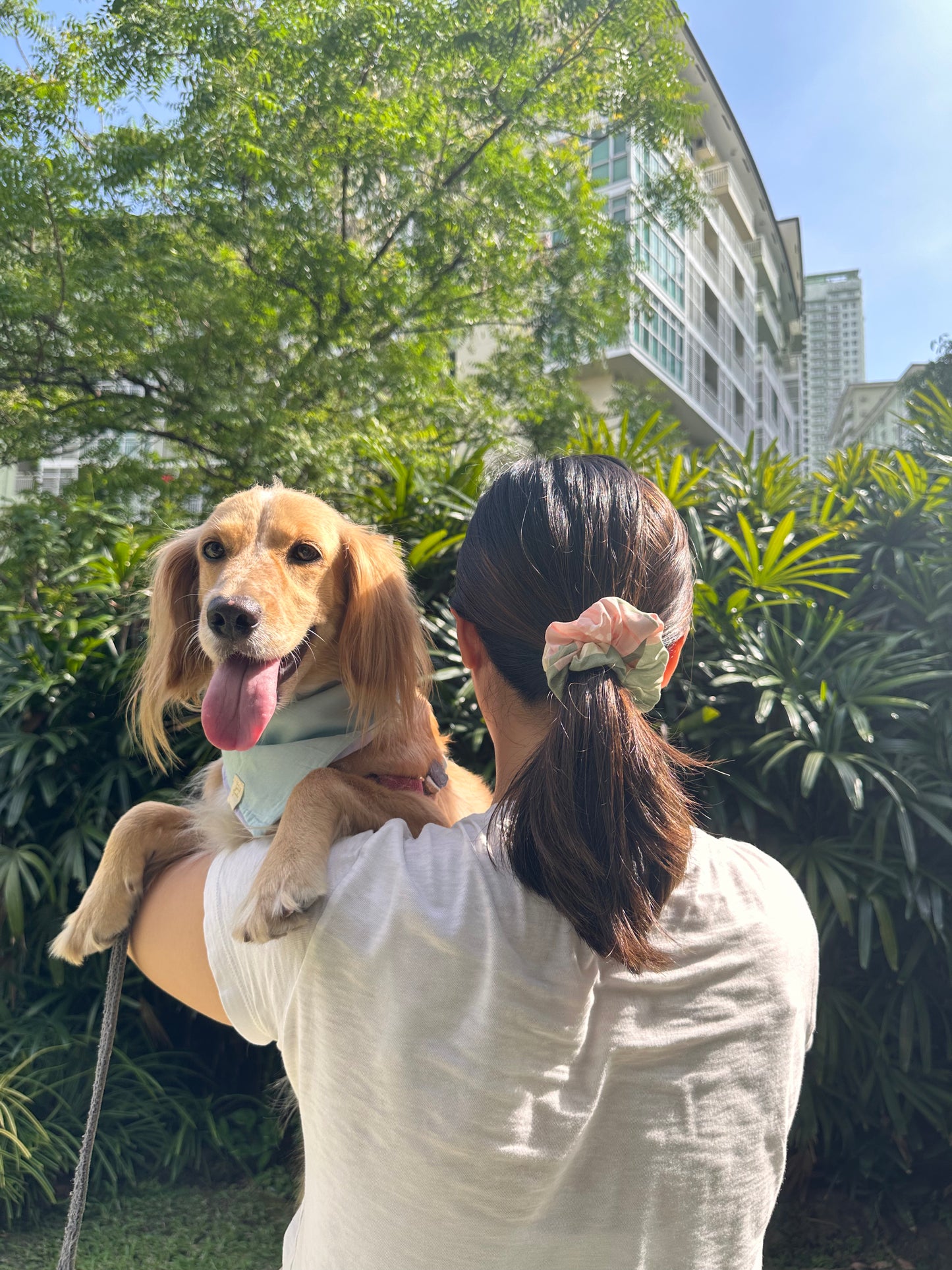 Scrunchie & Bandana Retaso Set (Pets & Humans)