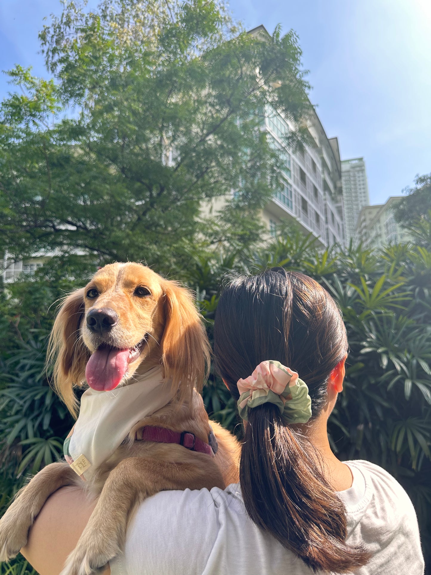 Scrunchie & Bandana Retaso Set (Pets & Humans)