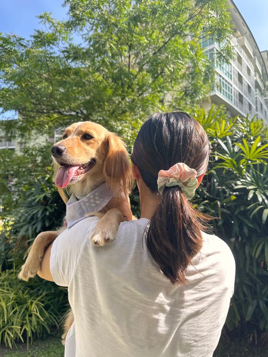 Scrunchie & Bandana Retaso Set (Pets & Humans)