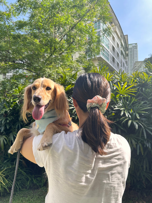 Scrunchie & Bandana Retaso Set (Pets & Humans)