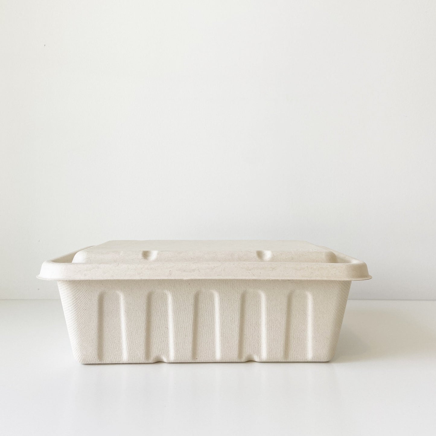 3000mL Party Tray - Sugarcane Bagasse Food Container