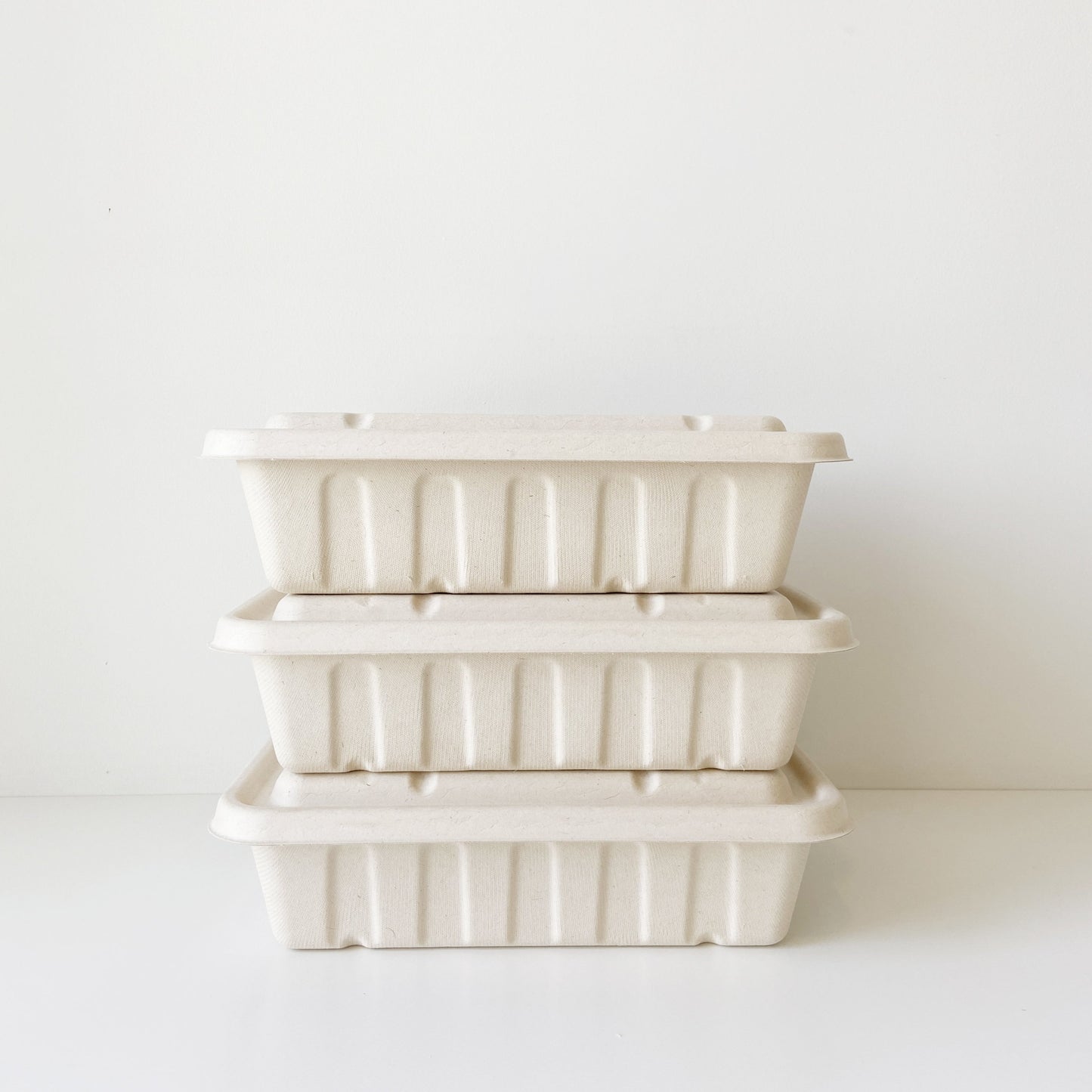 2500mL Party Tray - Sugarcane Bagasse Food Container